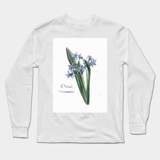 Wild hyacinth Long Sleeve T-Shirt